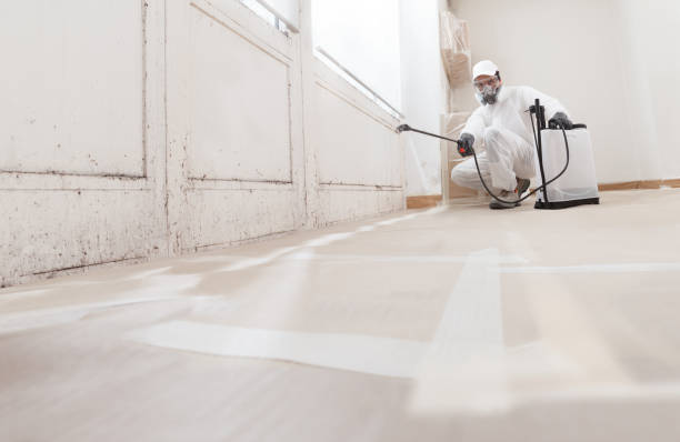 24/7 Emergency Black Mold Removal experts in Willernie, MN