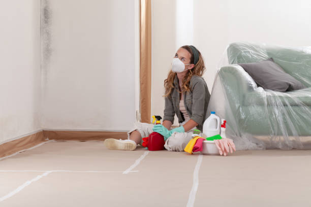 Reliable Black Mold Removal contractor in Willernie, MN by WQB Mold Removal